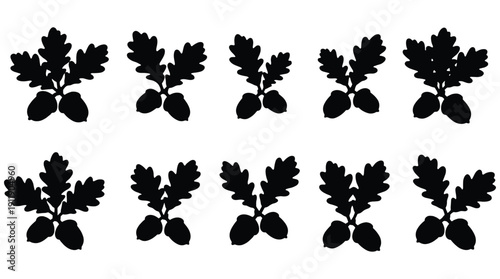 Black silhouettes of oak leaves and acorns on a white background
