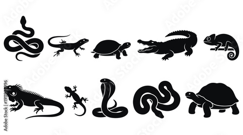 Collection of reptile silhouettes including snakes, lizards, and turtles in black