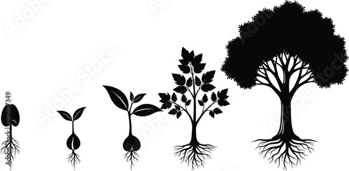 Tree growth stages silhouette illustration showing seed germination, sprout, young plant and mature tree, nature development lifecycle concept isolated on white background