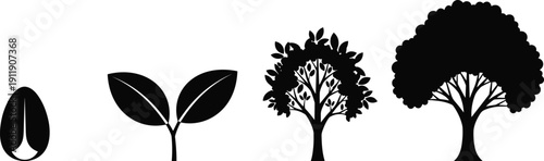 Tree growth stages silhouette illustration showing seed, sprout, young plant and mature tree, nature development lifecycle concept isolated on white background