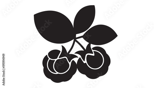 black color Boysenberry fruits set of silhouette vector illustration, solid white background