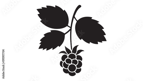 black color Boysenberry fruits of silhouette vector illustration, solid white background