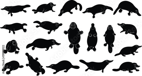 Collection of platypus silhouettes in various poses isolated on light background, unique Australian wildlife vector illustration set representing aquatic mammals, nature and exotic animal themes