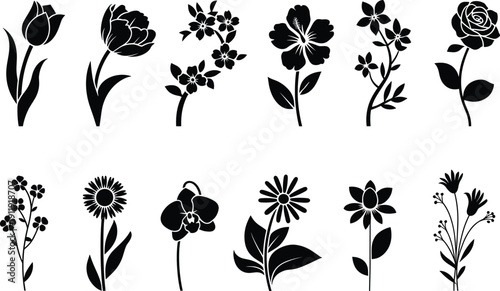 Black floral silhouettes collection, tulip, rose, daisy, orchid, hibiscus, botanical vector illustration set for design inspiration