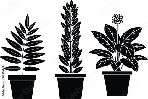 Vector set of black houseplant silhouettes in pots, isolated botanical icons of tropical leaf plants for interior home decor, gardening, and nature graphics