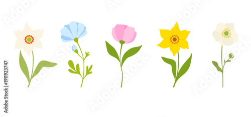 Beautiful set of spring flowers with green leaves on white background. Botanical flat vector illustration.