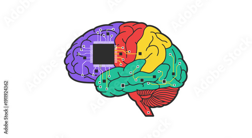 Colorful illustration of human brain anatomy from lateral viewpoint showing various lobes and sections