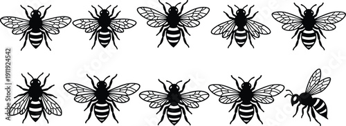 Honey Bee Silhouette Vector Collection, Detailed Flying Insect Set Isolated on White Background for Beekeeping and Nature Design