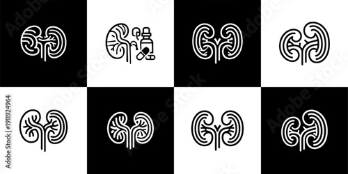 Icon Set Vector of 8 Human Kidney Anatomy and Urology Medical Icons