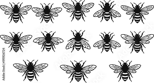 Honeybee Silhouette Vector Set, Detailed Flying Bee Insect Collection Isolated on White Background for Nature and Beekeeping Design