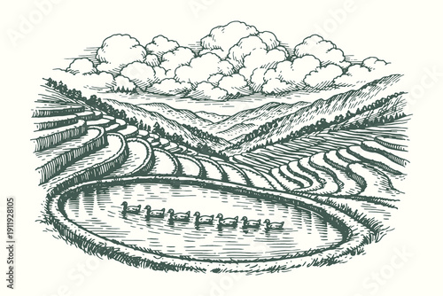 Beautiful engraving vector illustration of layered rice terrace fields with a central reflecting pond and rolling hills in a rural landscape.