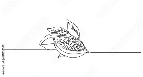 Continuous Line Drawing of Cacao Pods and Leaves,Continuous Line Art of Cocoa Pod and Beans