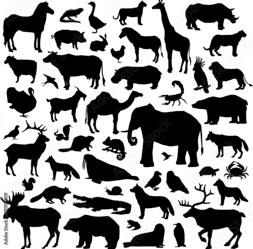 Large Wild Animal Silhouette Collection Vector – Safari, Forest and Wildlife Set Isolated on White