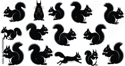 Squirrel silhouette collection showing multiple poses and actions isolated on white background ideal for wildlife illustration forest animal design nature icons and playful cartoon style concepts