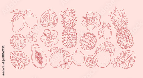 Vibrant Tropical Fruit and Flower Collection Hand Drawn Sketch Style Red Outline on Pastel Pink Background
