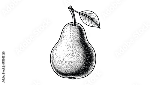 Stippled line art of a pear with a single leaf provides a vintage engraving look suitable for classical botanical illustrations or prints.