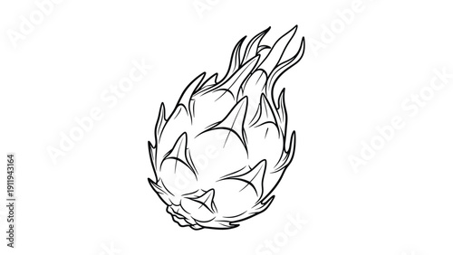 Dragon fruit is shown in a detailed black and white line art style, emphasizing its unique skin texture and shape for botanical study.