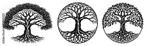 Three variations of tree of life symbols with detailed roots and branches in hand drawn etching style