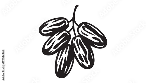 black color Dates fruits set of silhouette vector illustration, solid white background