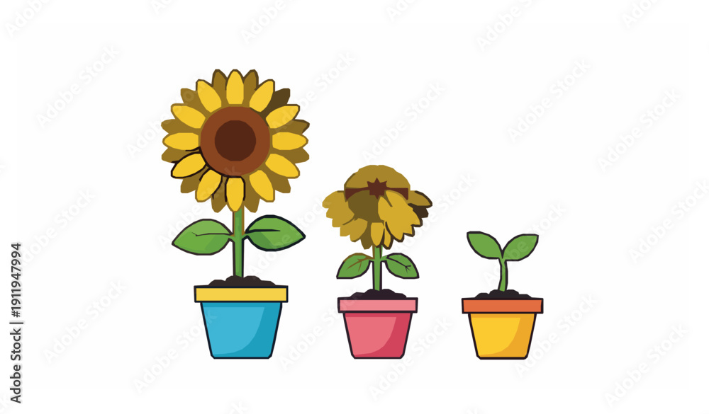 Obraz premium Sunflower cartoon vector set with yellow flowers in pots and seedlings for garden, nursery, and kids illustrations