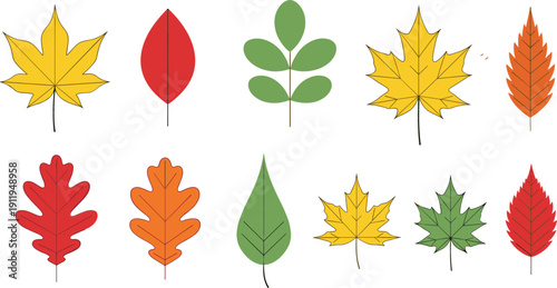 Autumn leaves illustration set, colorful fall foliage icons, flat cartoon leaf collection isolated on white background
