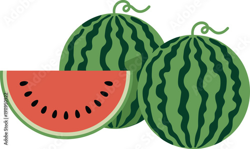 Fresh watermelon fruit set with whole melons and a juicy red slice, summer tropical food for healthy diet, flat vector illustration.