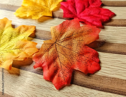 Colorful Autumn Leaves Background Texture