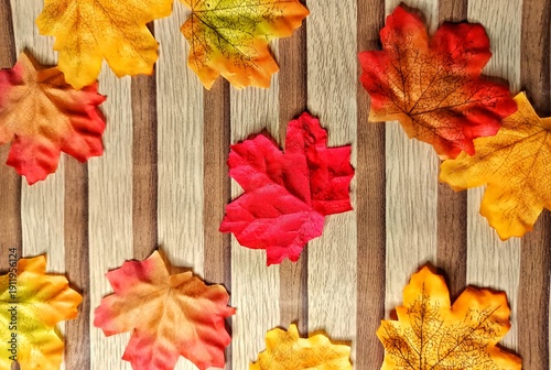 Colorful Autumn Leaves Background Texture