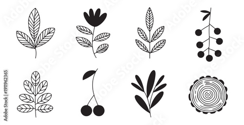 Decorative leaf and branch sketches including wood trunk section cherries and floral line art elements