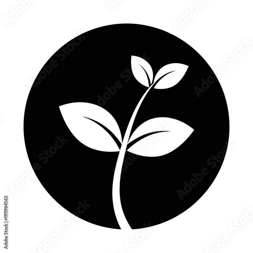 sprout, plant, seedling, leaf, leaves, botanical, nature, eco, organic, growth, green, environment, ecology, sustainability, renewable, natural, flora, garden, agriculture, farming, herbal, fresh, pur