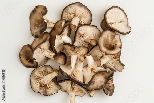 Top view of sliced mushrooms arranged in an open circle, brown and beige caps with visible textures on plain background