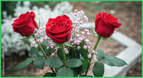 Vibrant red roses beautifully arranged with delicate baby's breath flowers