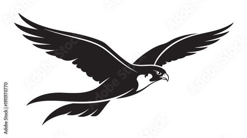 Black and white hawk in mid-flight with wings spread against clear sky, dynamic motion silhouette, wildlife nature art
