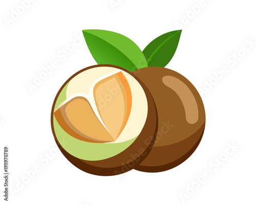 Sapodilla Tropical Fruit Illustration Icon Set