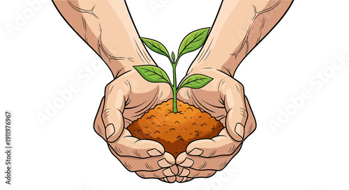 A pair of hands gently holding a small sprouting seedling with green leaves emerging from the soil
