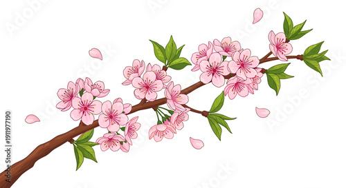Delicate branch adorned with blooming pink cherry blossoms against a soft background