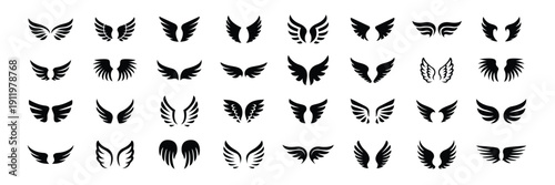 Angel Wing Silhouette Icon Set  Bird Wings, Flying Feather Wing Shapes Black Vector Collection for Logo, Tattoo, Fantasy and Design Elements.eps10