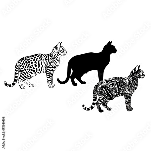 Three distinct cats showcasing various breeds and patterns in a monochromatic illustration.