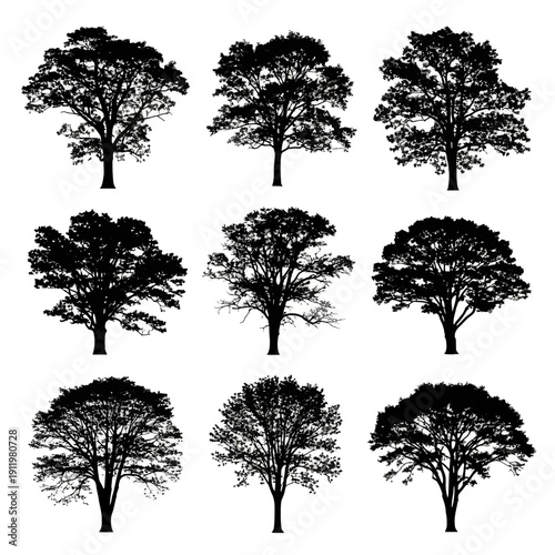 Nine black and white illustrations of different types of trees in a 3x3 grid arrangement