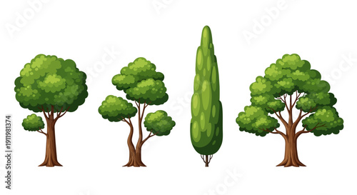 Diverse Collection of Cartoon Trees Round Bushy and Tall Evergreen for Nature Illustrations Eco Designs