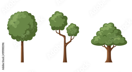 Collection of Three Stylized Green Trees with Brown Trunks on White Background Vector Illustration