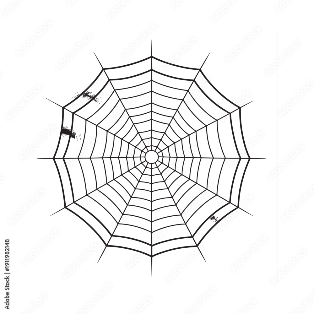 Obraz premium A detailed illustration of a spiderweb with a few insects caught within