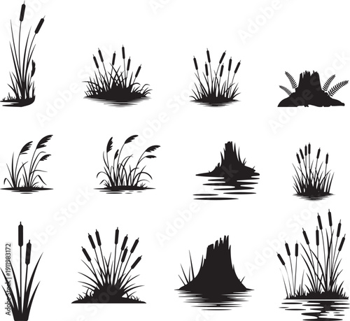 Black silhouettes of cattails and reeds in water grass