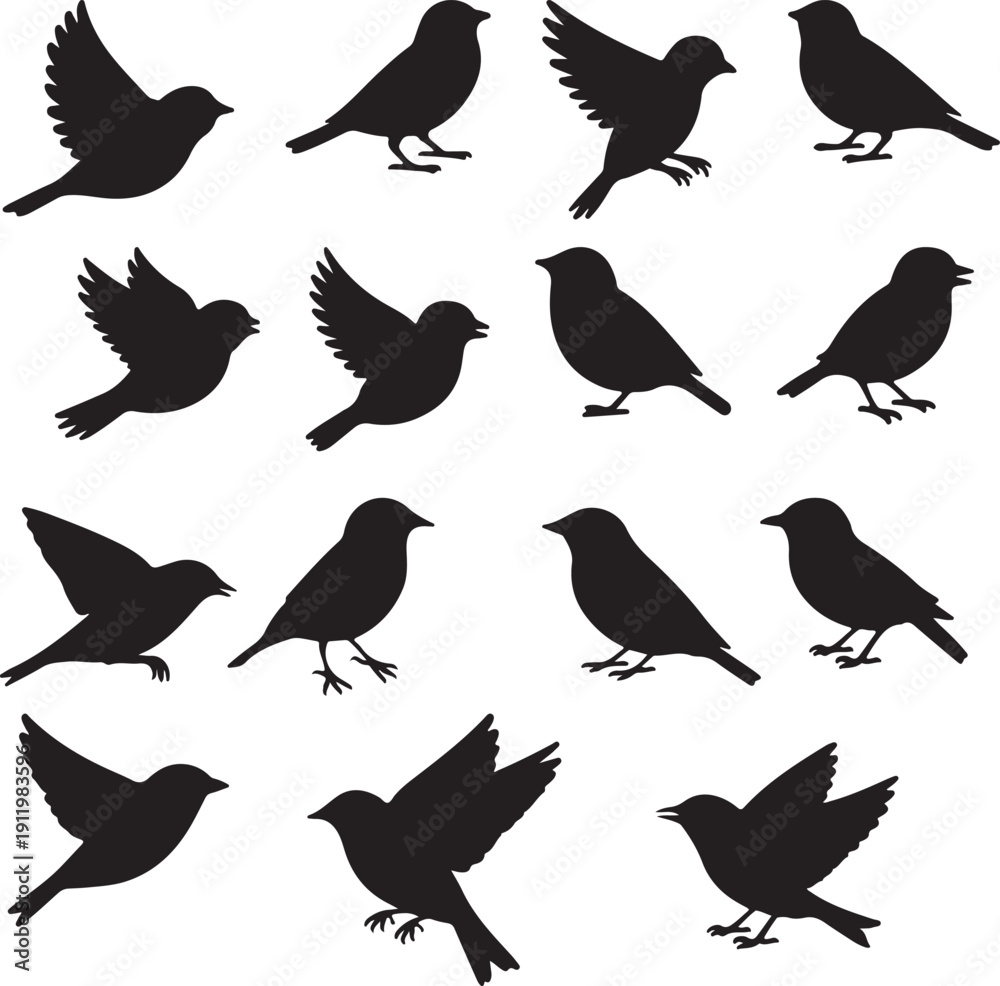 Fototapeta premium Collection of black bird silhouettes in various poses