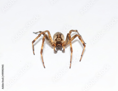 Futuristic Spaceship Flying at Hyper Speed in Deep Space, Warp Engine Starship Science Fiction Background