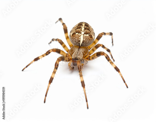 Futuristic Spaceship Flying at Hyper Speed in Deep Space, Warp Engine Starship Science Fiction Background