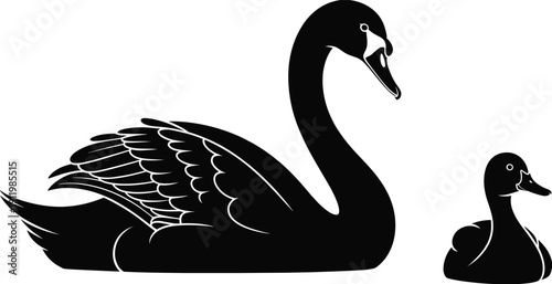 Black swan and duck silhouette vector illustration set, elegant water bird wildlife animal icon collection isolated on white background