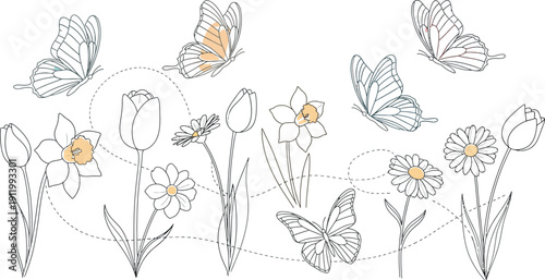 Collection of delicate line art illustrations featuring various springtime flowers like tulips daffodils and daisies interacting with colorful butterflies creating a whimsical border design