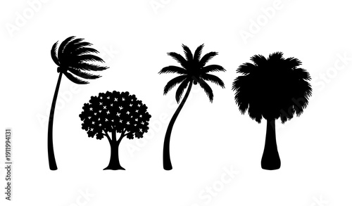 Four Tropical Palm Tree Silhouettes Black Vector Set Isolated on White Background