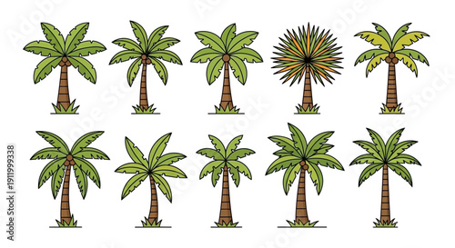Collection of Stylized Palm Trees in Vector Format, Tropical Flora Graphics